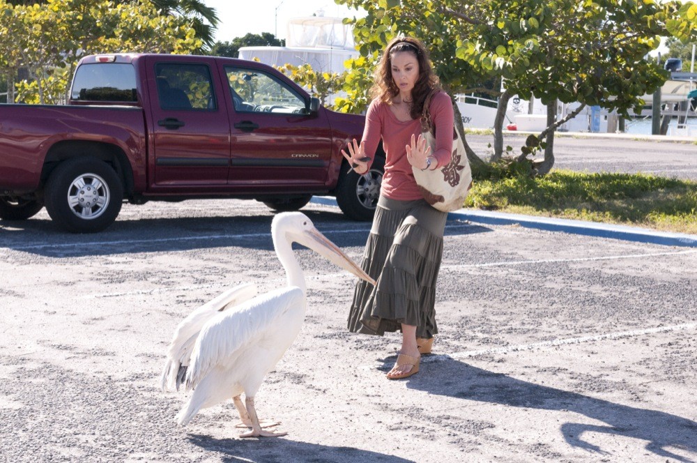 Ashley Judd stars as Lorraine Nelson in Warner Bros. Pictures' Dolphin Tale (2011)