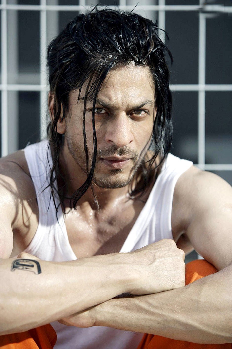 Don 2 Picture 24