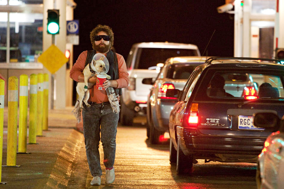 Zach Galifianakis stars as Ethan Tremblay in Warner Bros. Pictures' Due Date (2010)