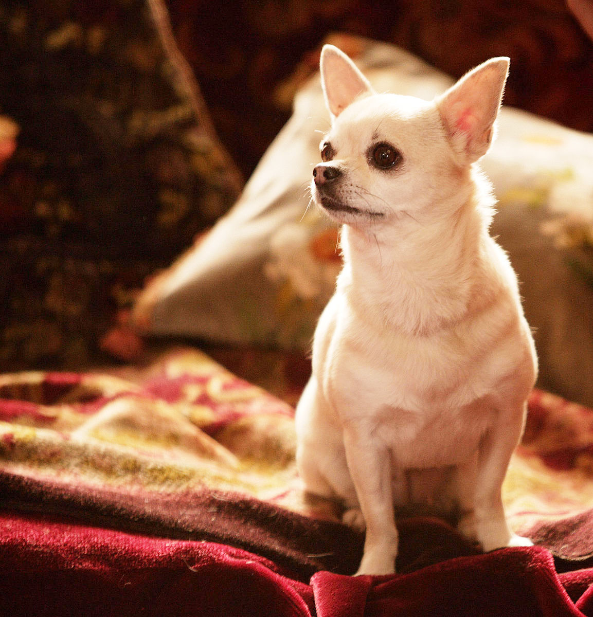 A scene from Ealing Studios' Easy Virtue (2009)