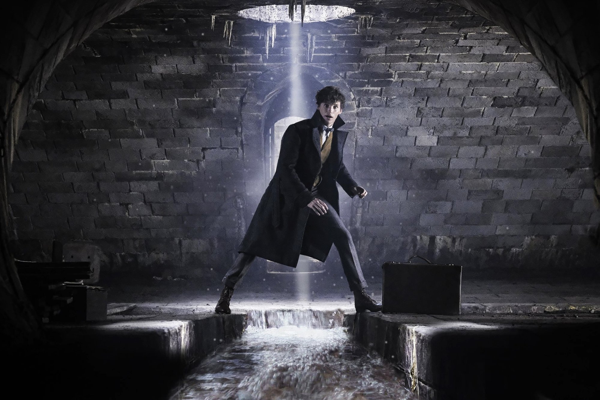 Eddie Redmayne stars as Newt Scamander in Warner Bros. Pictures' Fantastic Beasts: The Crimes of Grindelwald (2018)