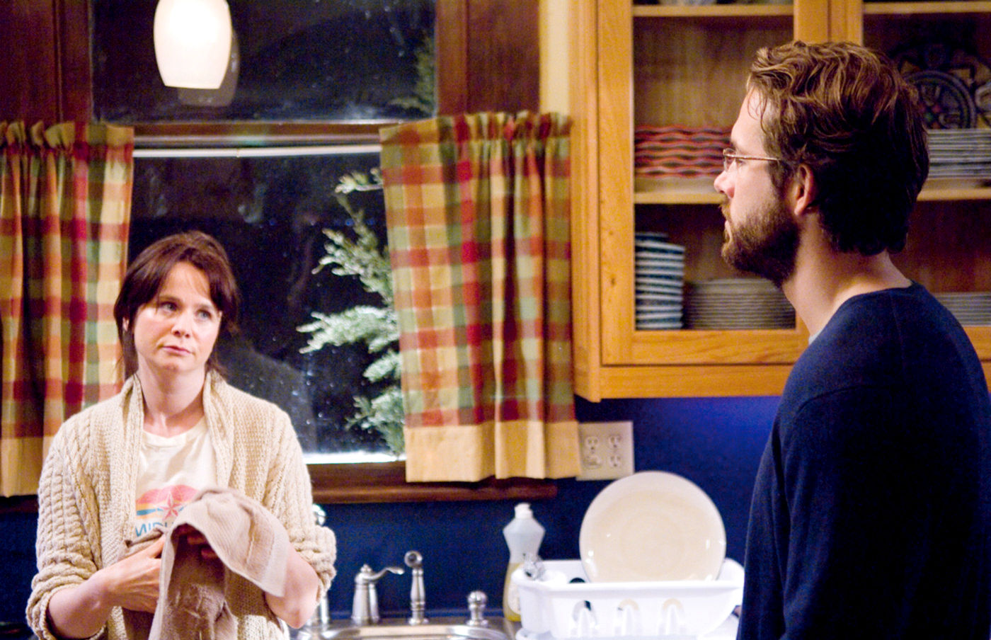 Fireflies in the Garden Picture 5