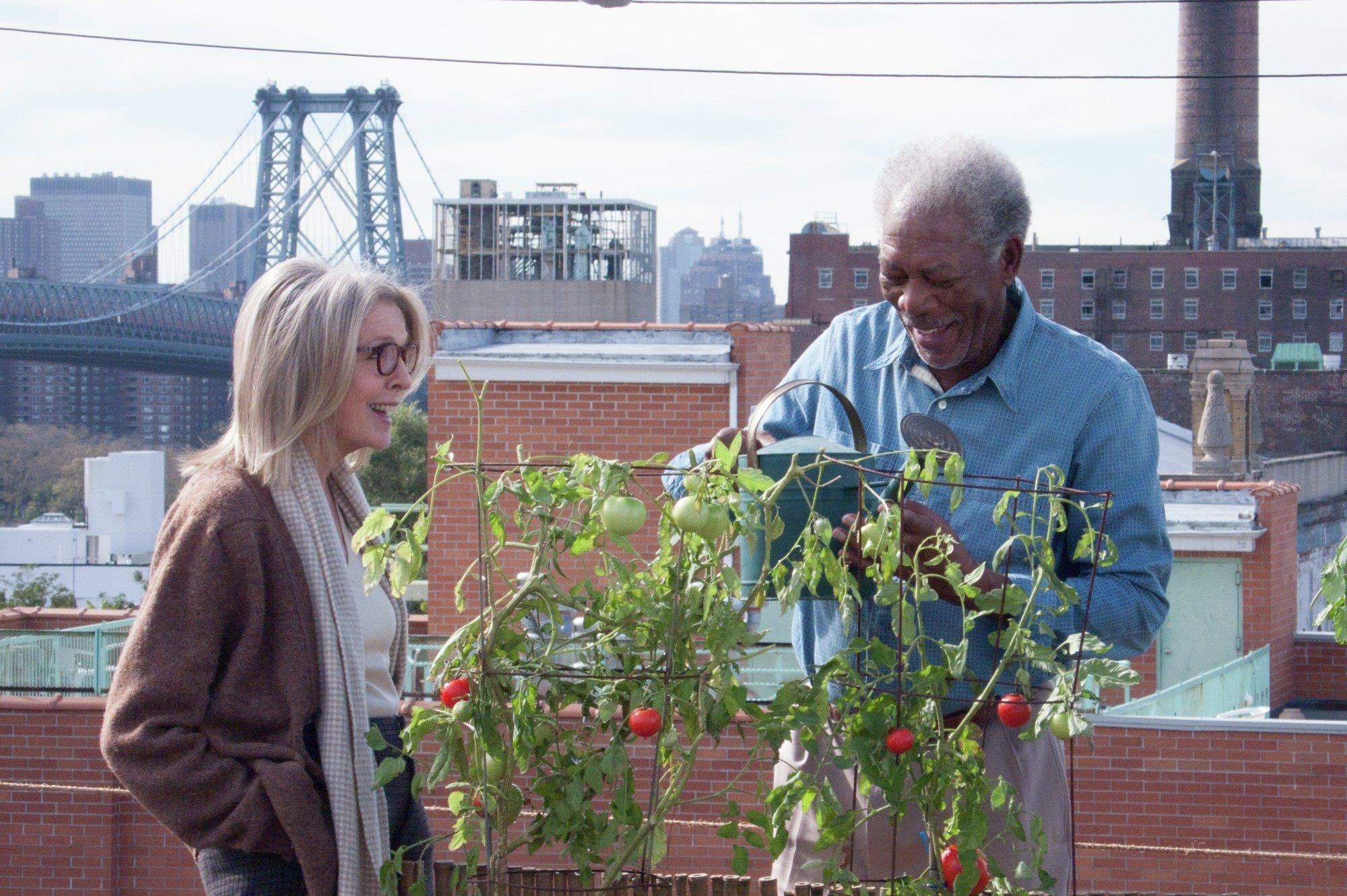 Diane Keaton and Morgan Freeman in Focus World's 5 Flights Up (2015)