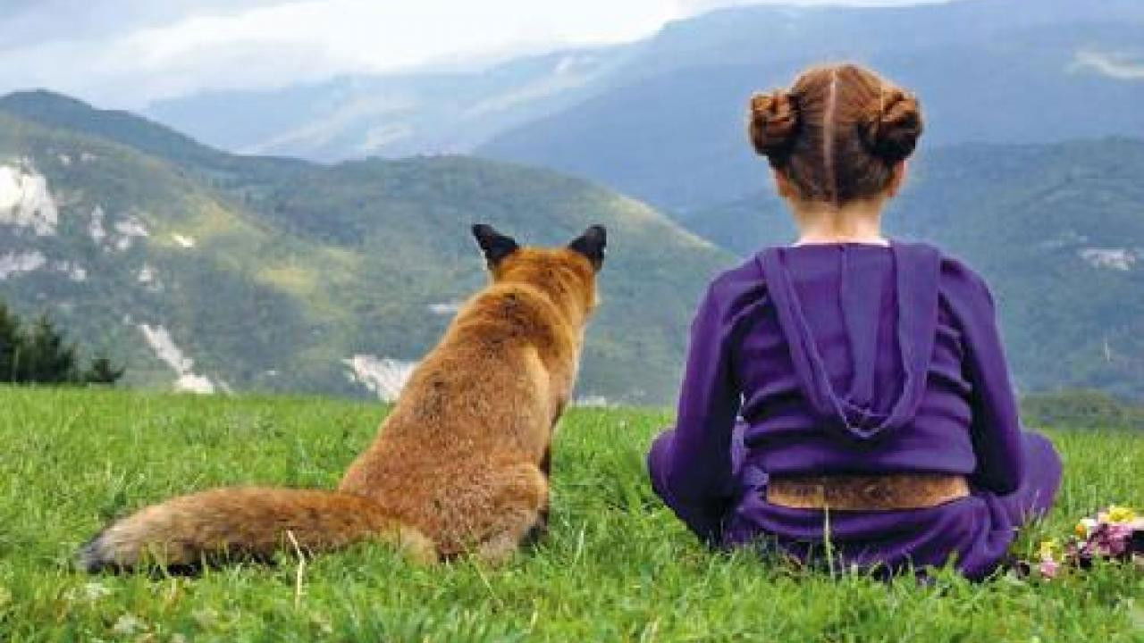 Fox & the Child, The (2008)
