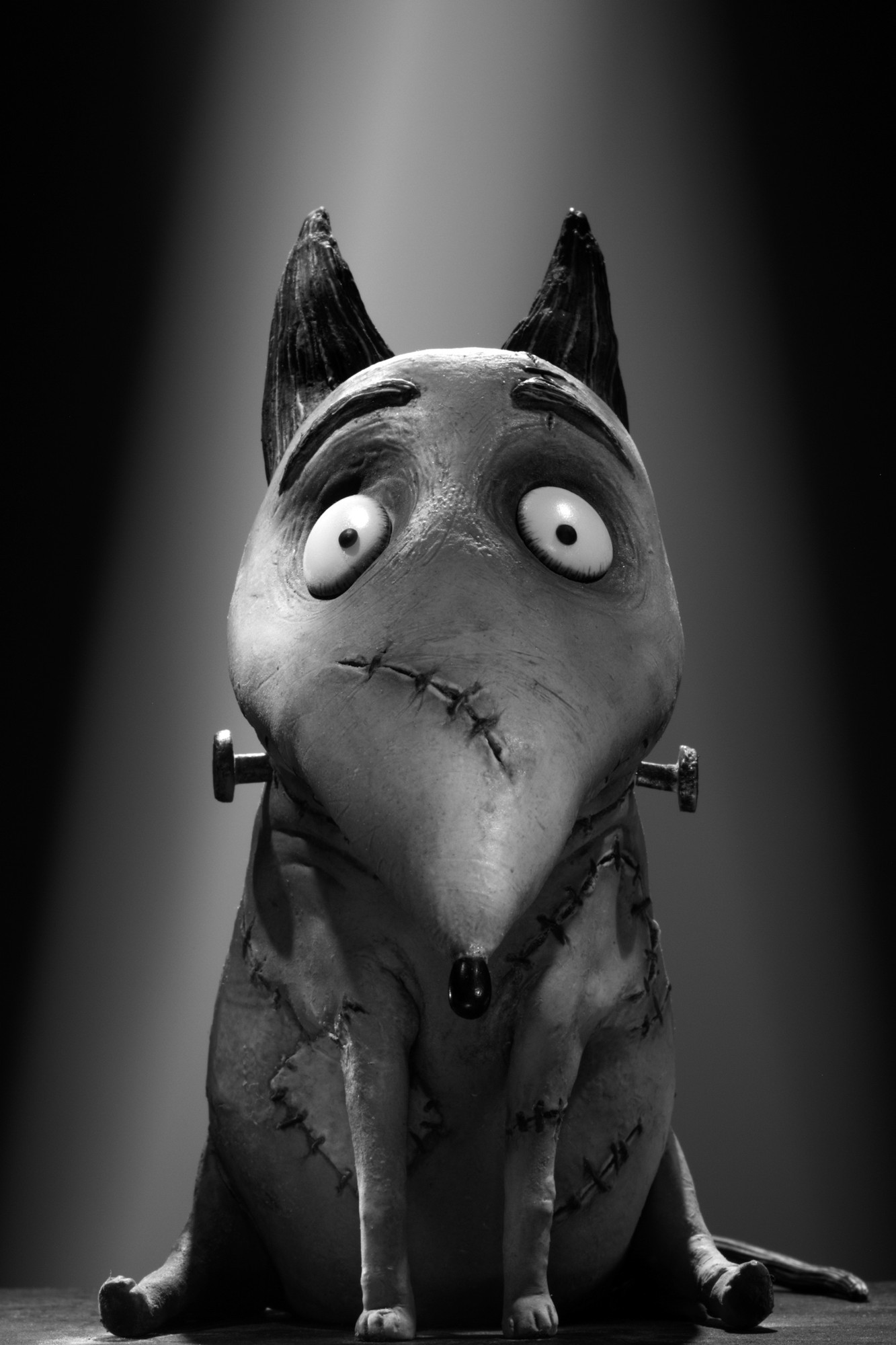 Sparky from Walt Disney Pictures' Frankenweenie (2012)