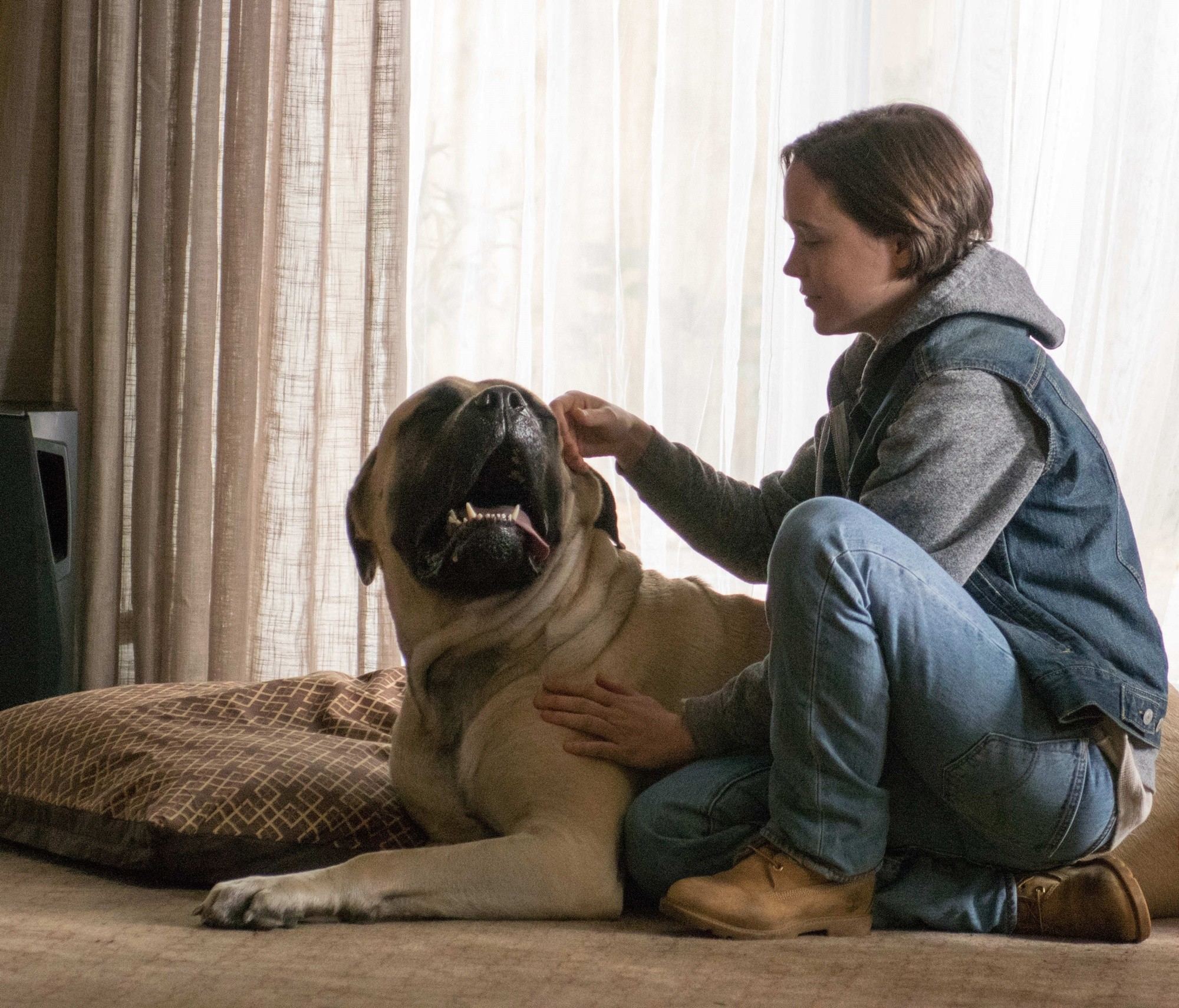 Ellen Page stars as stars as Stacie Andree in Lionsgate Films' Freeheld (2015)