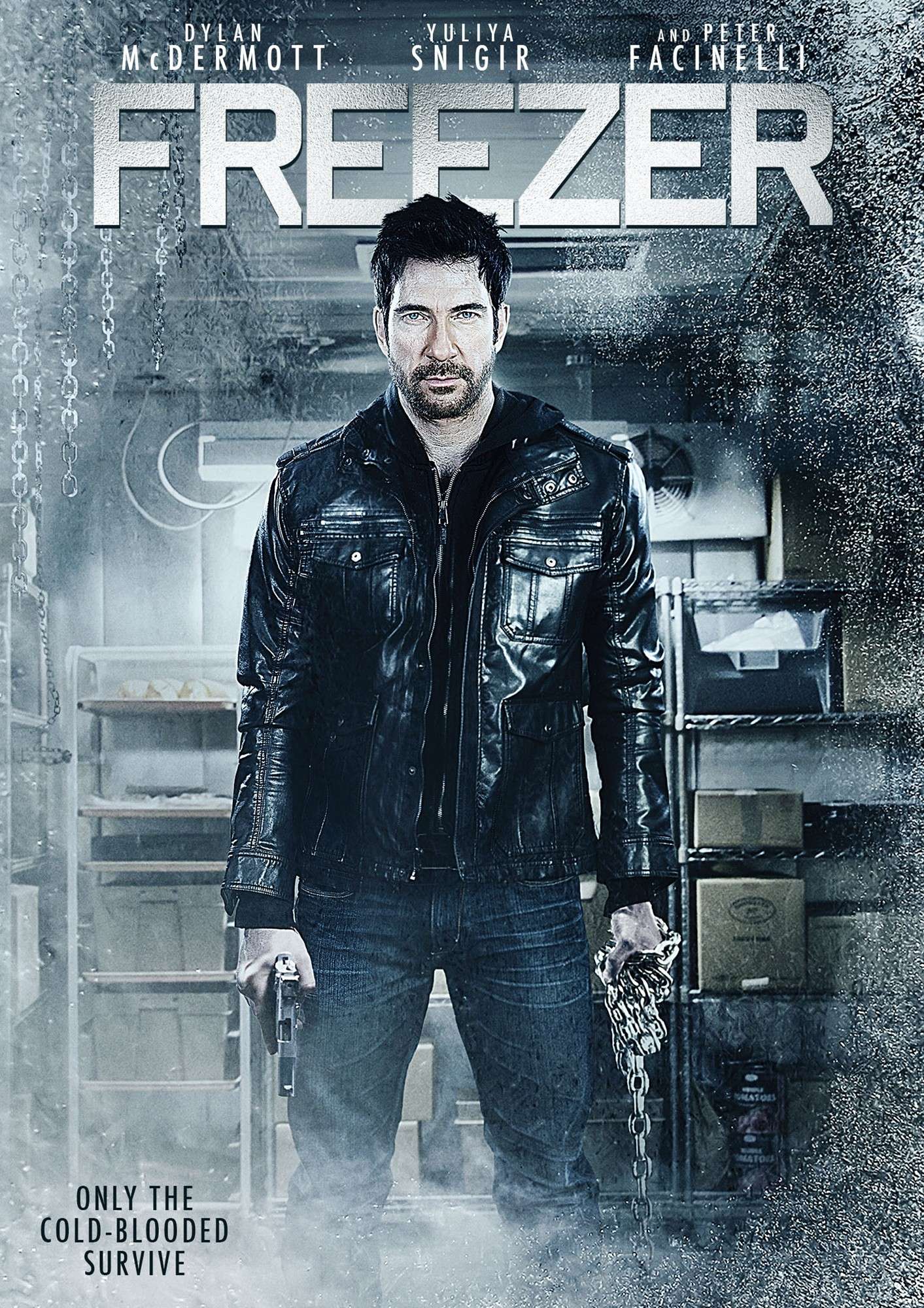 Poster of Anchor Bay Films' Freezer (2014)