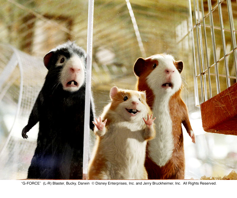 G-Force Picture 41