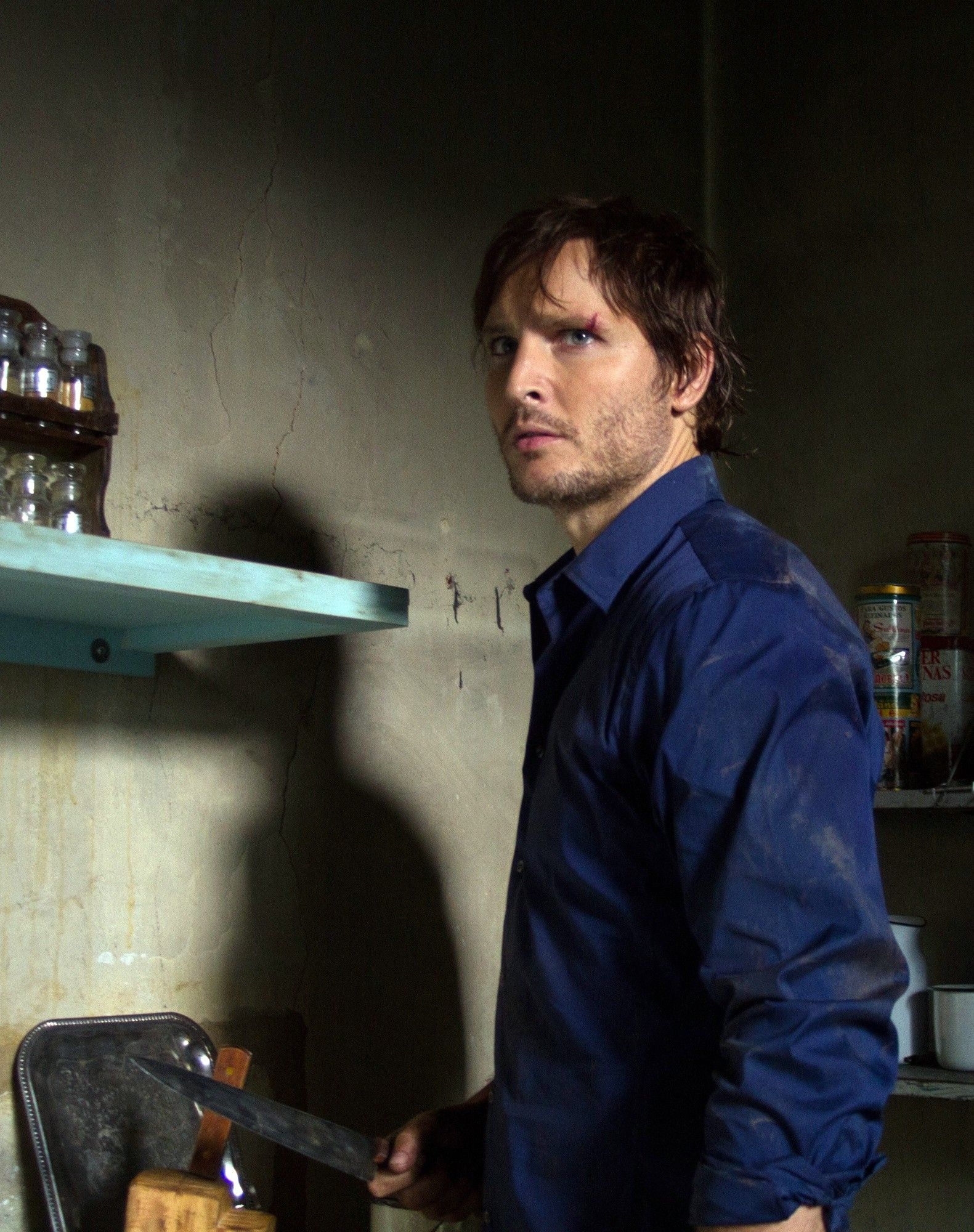 Peter Facinelli stars as David Reynolds in IFC Midnight's The Damned (2014)