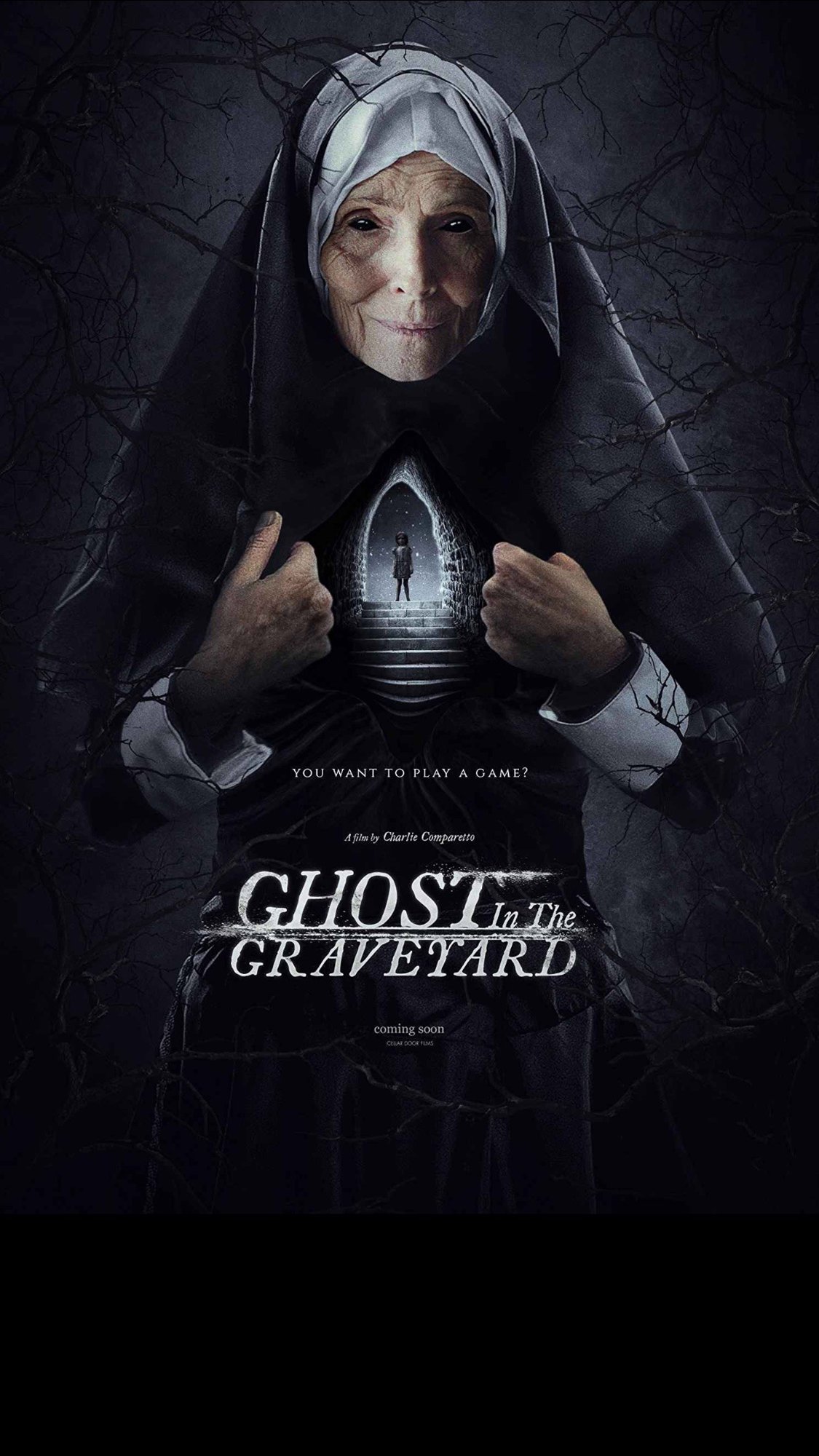 Poster of Cellar Door Films' Ghost in the Graveyard (2019)