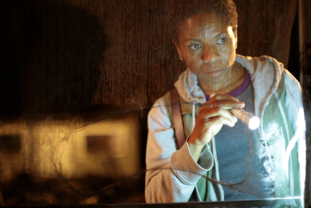 LisaGay Hamilton stars as Bernice in Variance Films' Go for Sisters (2013)