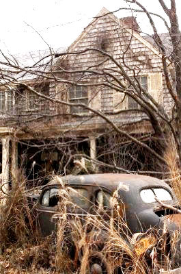 Grey Gardens Picture 7