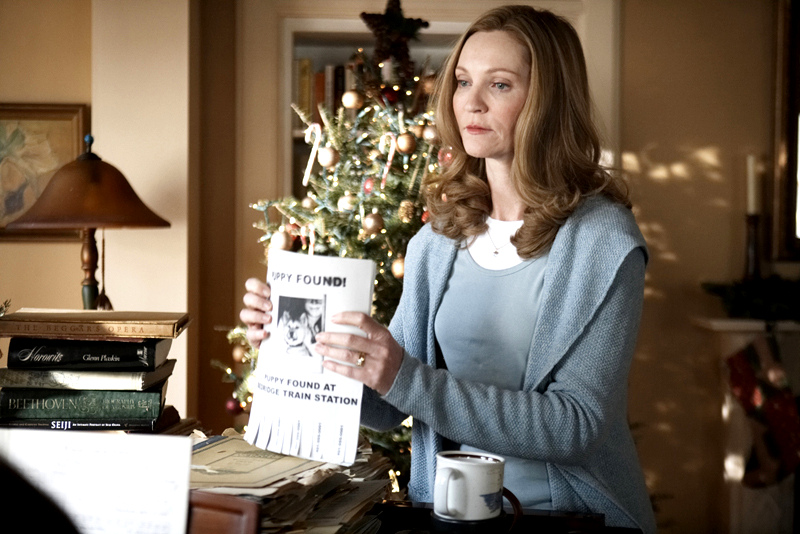 Joan Allen stars as Cate Wilson in Consolidated Pictures Group's Hachiko: A Dog's Story (2009)