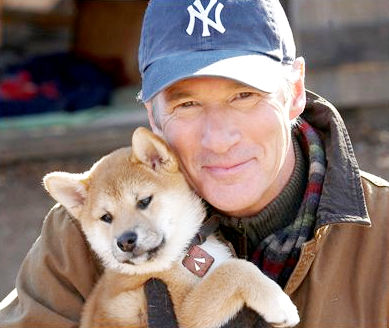 Richard Gere stars as Parker Wilson in Consolidated Pictures Group's Hachiko: A Dog's Story (2009)