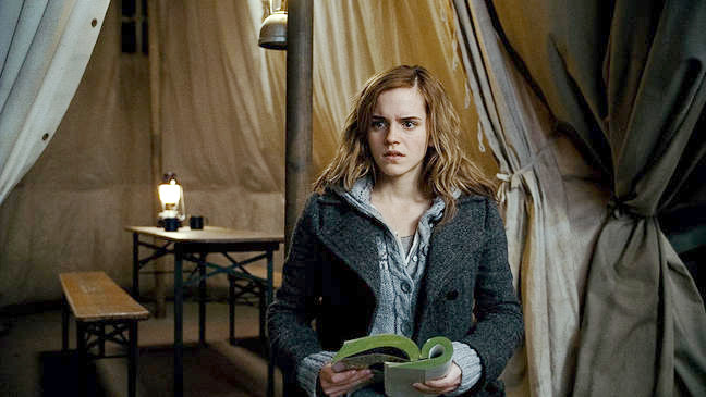 Harry Potter And The Deathly Hallows Part I Picture 139