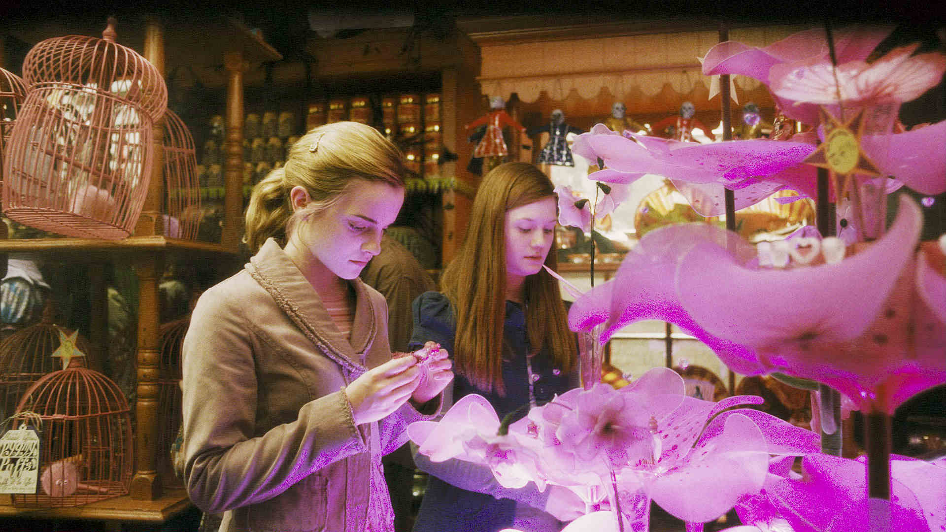 Emma Watson stars as Hermione Granger and Bonnie Wright stars as Ginny Weasley in Warner Bros Pictures' Harry Potter and the Half-Blood Prince (2009)