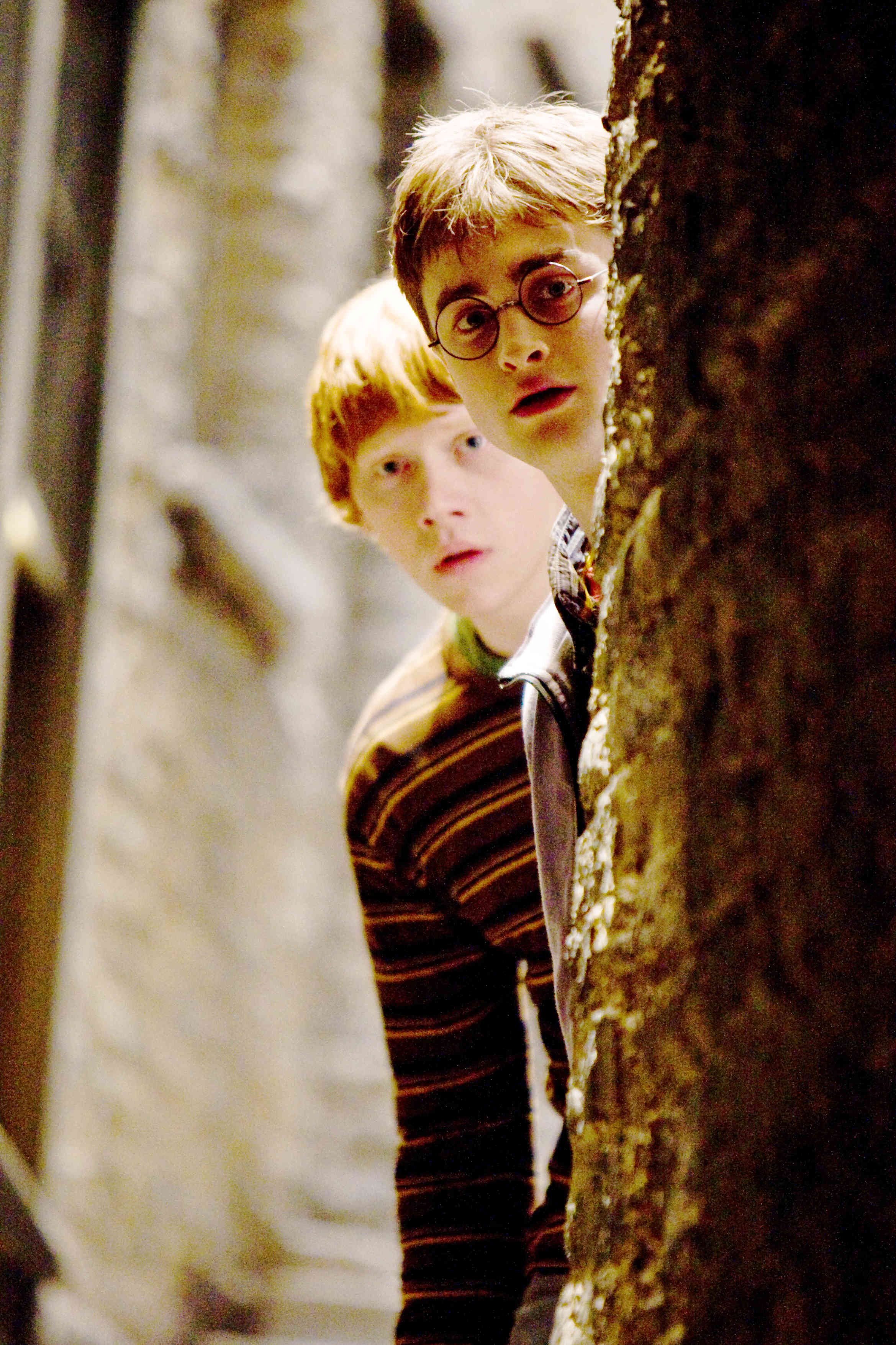 Rupert Grint stars as Ron Weasley and Daniel Radcliffe stars as Harry Potter in Warner Bros Pictures' Harry Potter and the Half-Blood Prince (2009)