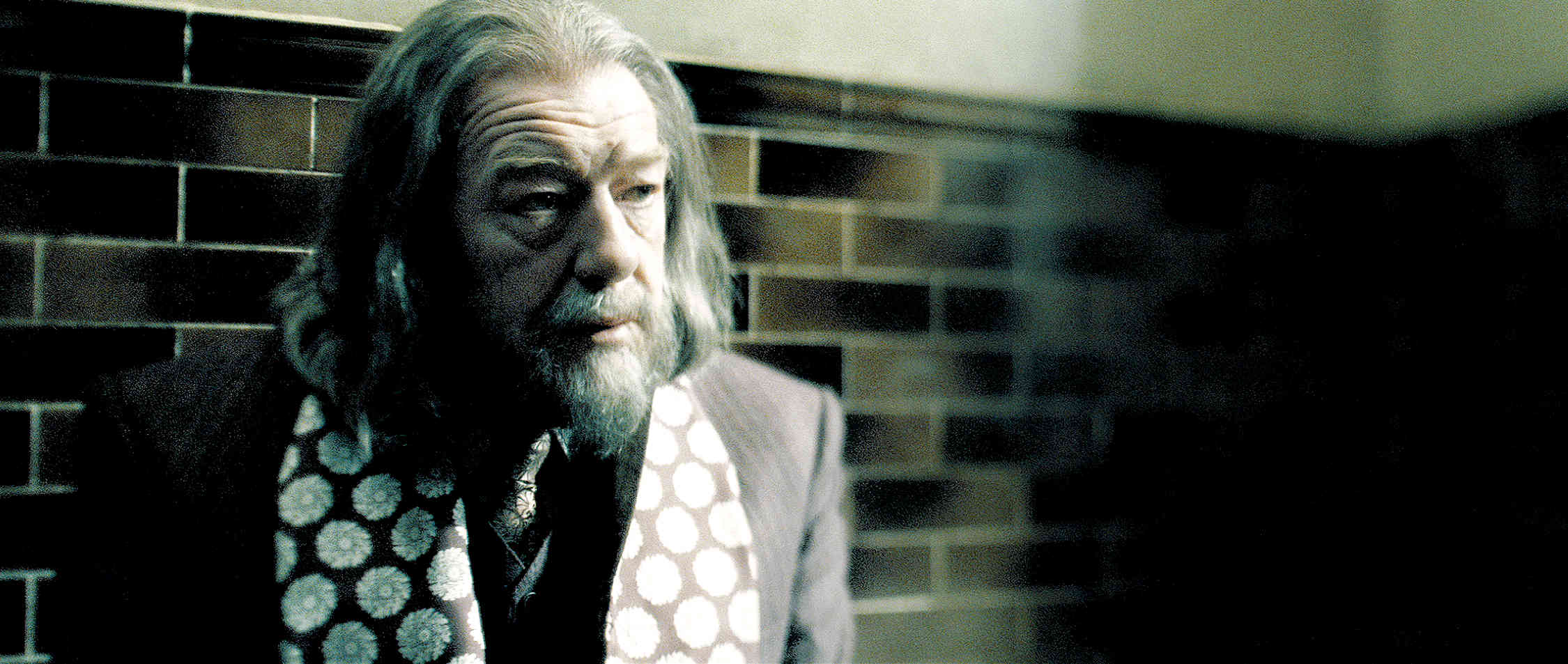 Michael Gambon stars as Albus Dumbledore in Warner Bros Pictures' Harry Potter and the Half-Blood Prince (2009)