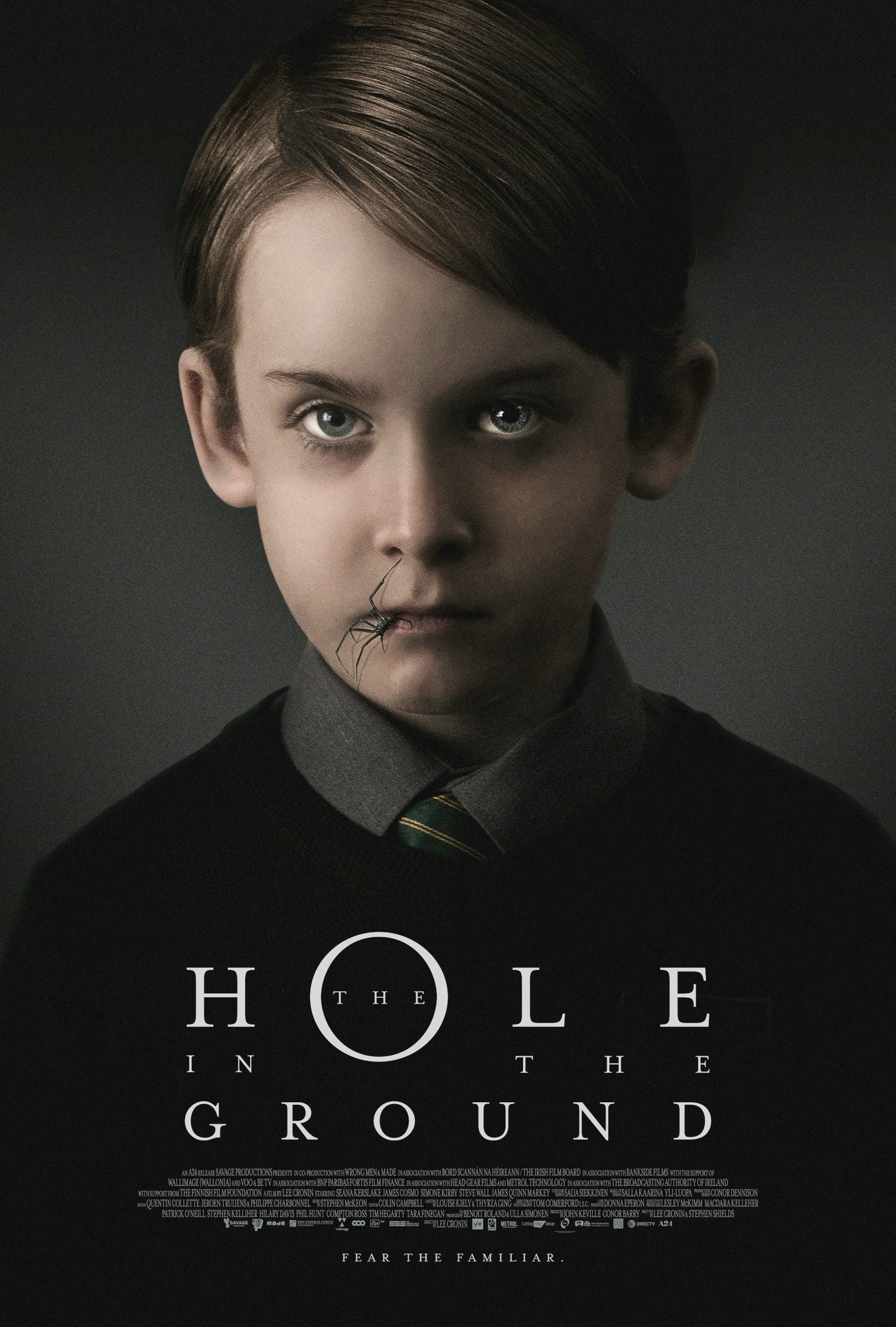 Poster of A24's The Hole in the Ground (2019)