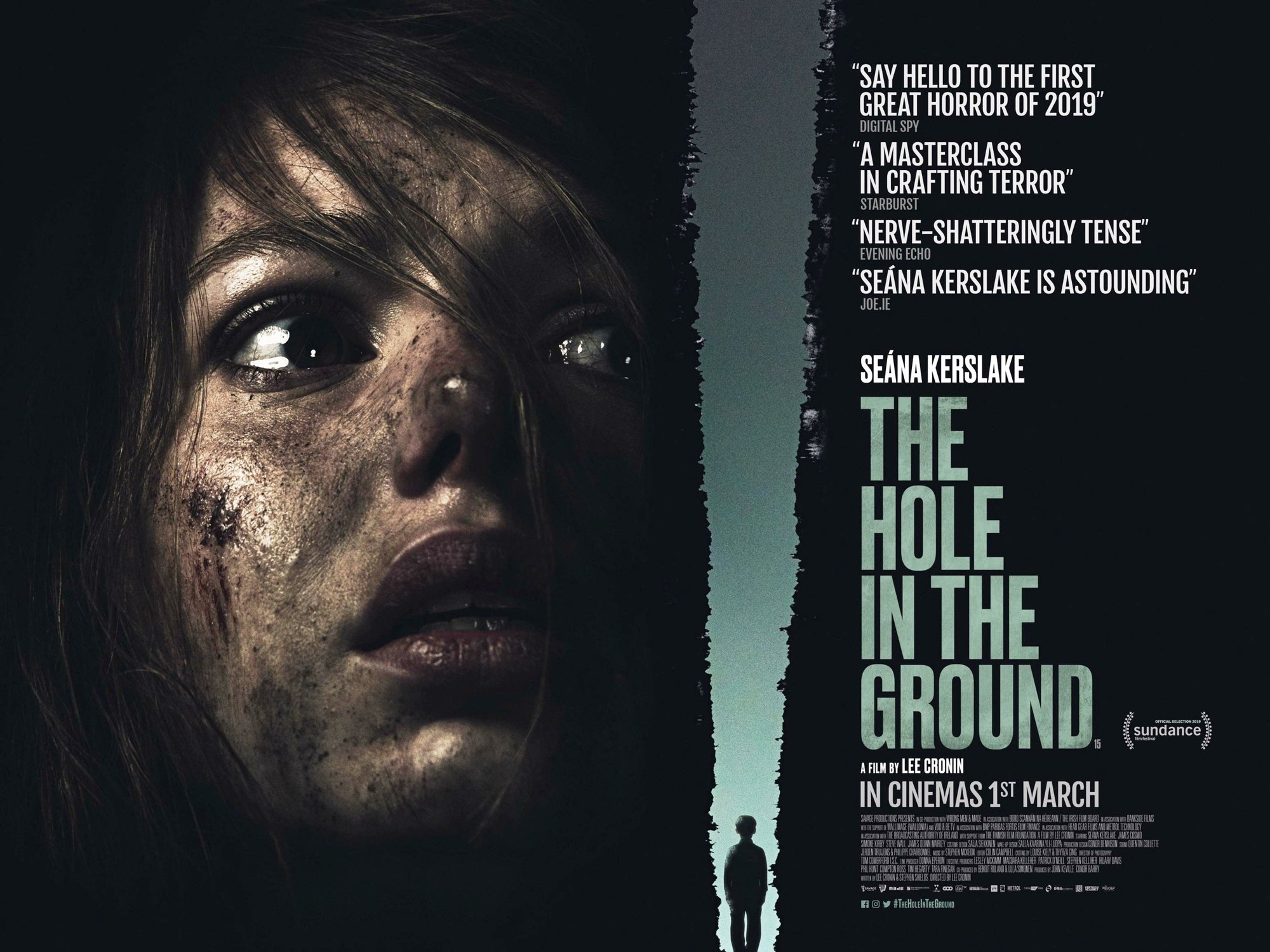 The Hole In The Ground 2019 The Hole in the Ground (2019) Pictures, Trailer, Reviews, News, DVD and