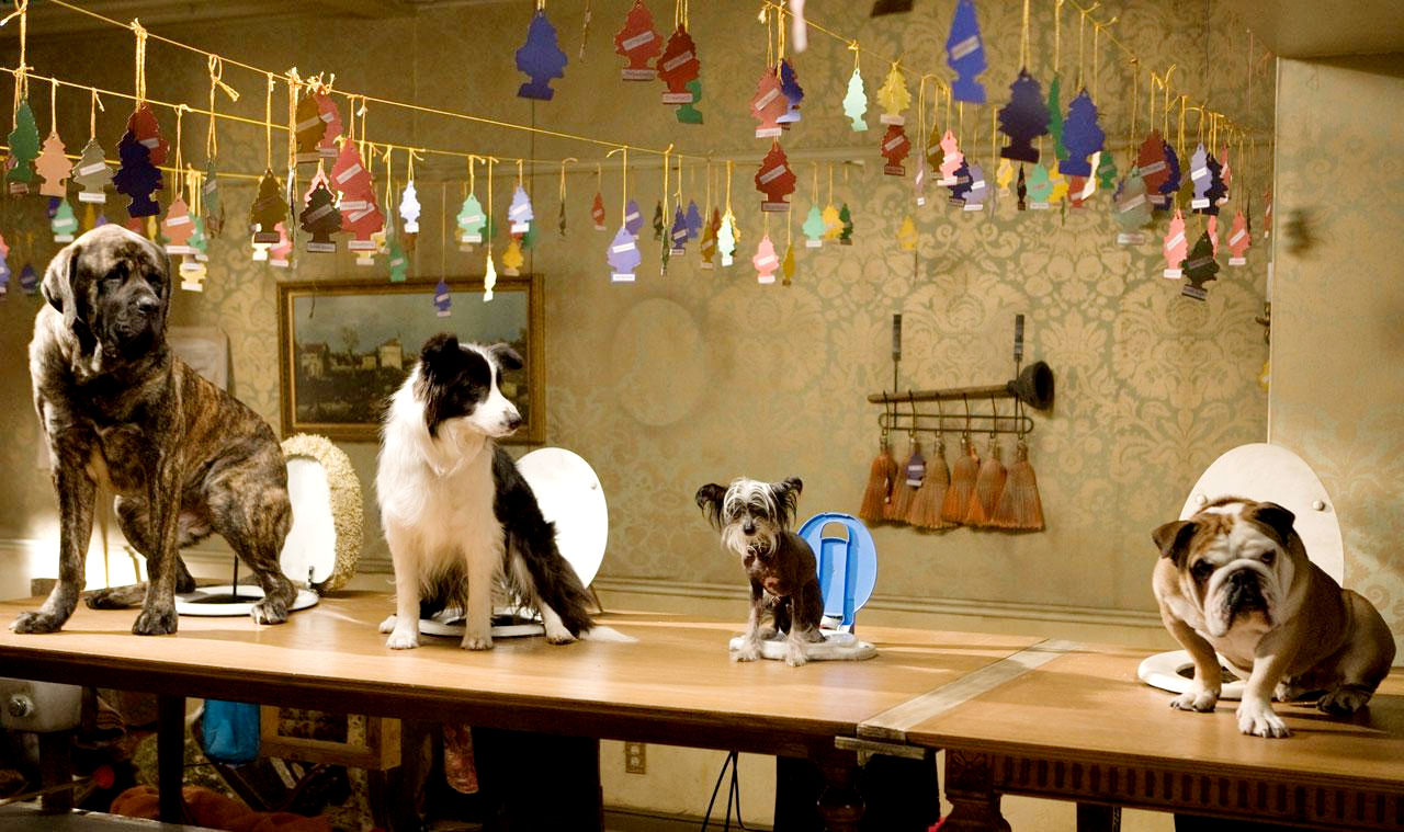 A scene from DreamWorks' Hotel for Dogs (2009)