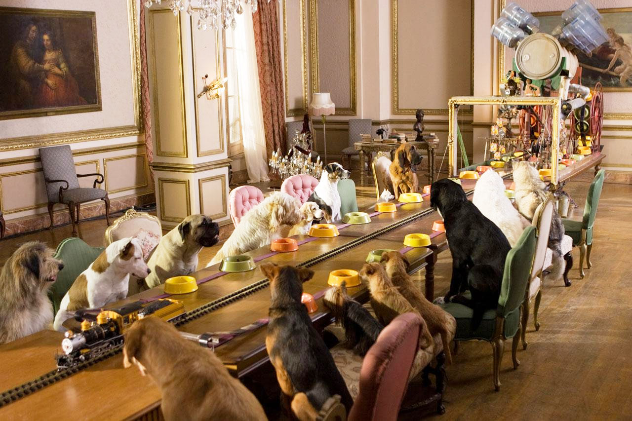 A scene from DreamWorks' Hotel for Dogs (2009)