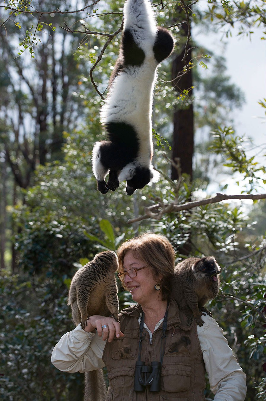 Patricia Wright in Warner Bros. Pictures' Island of Lemurs: Madagascar (2014)