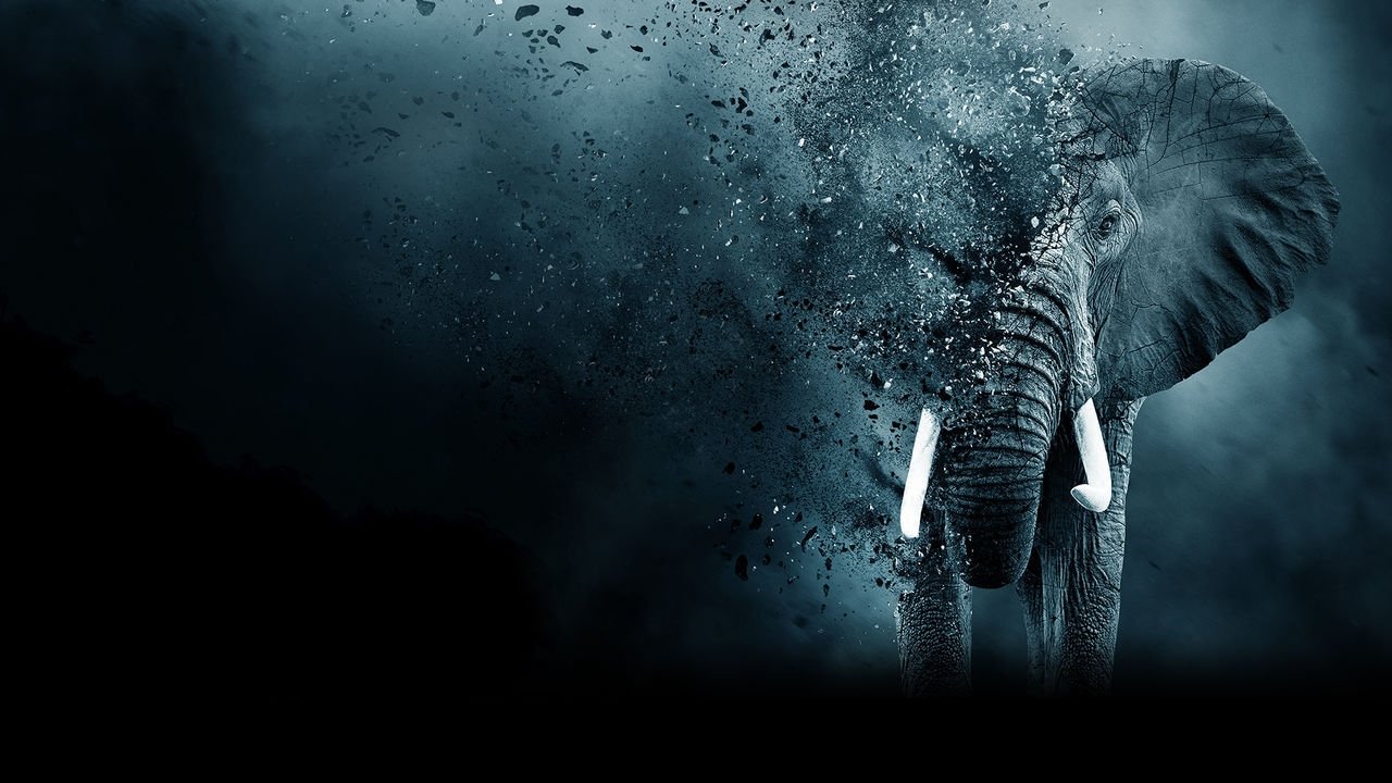 Ivory Game, The (2016)