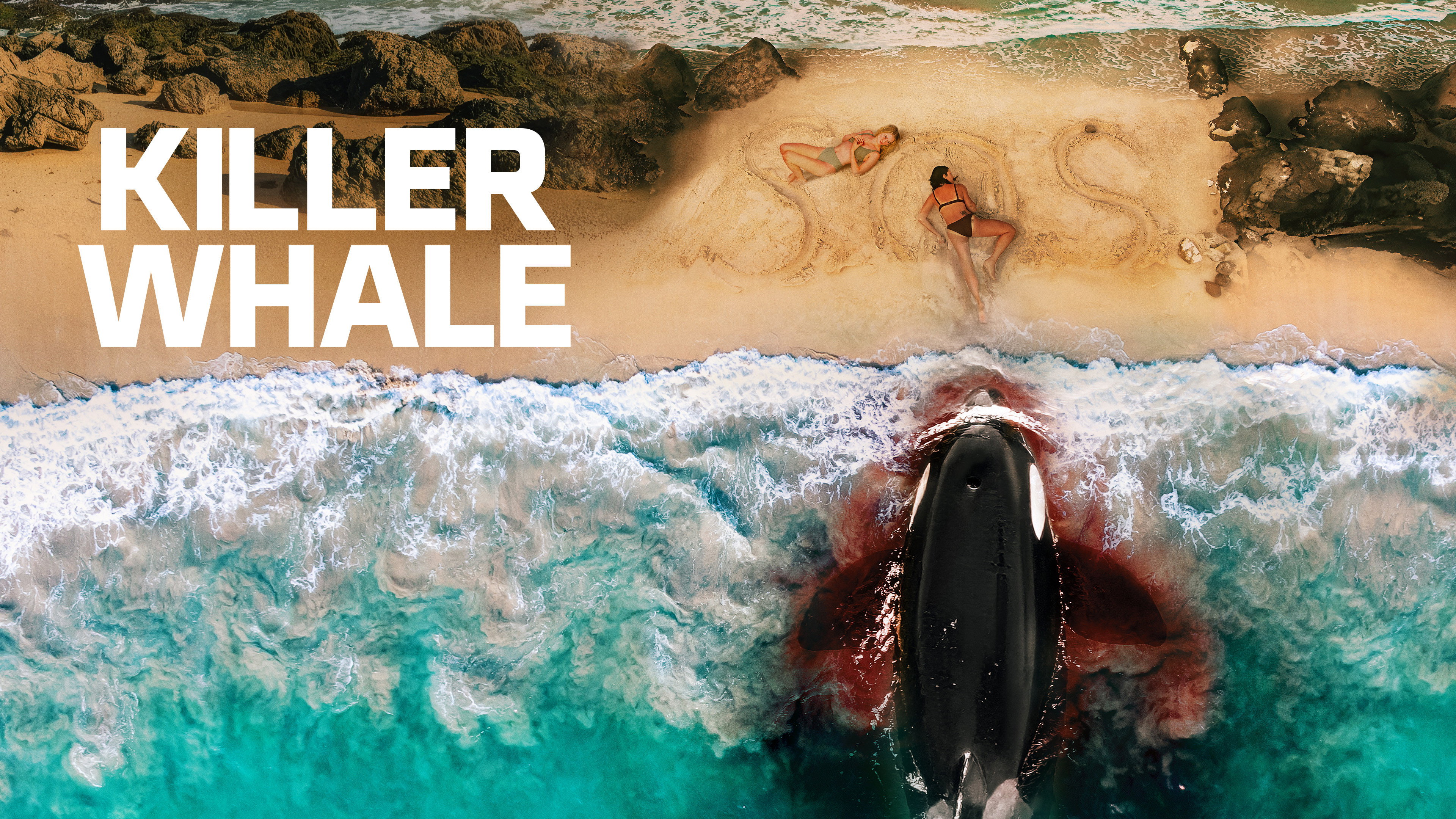Killer Whale (2026)