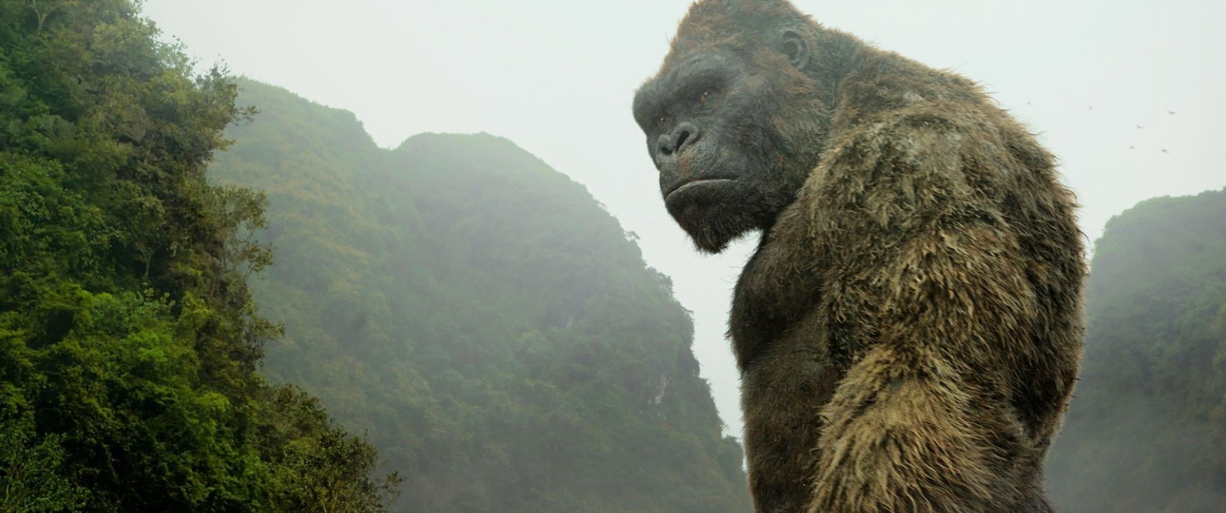 Kong from Warner Bros. Pictures' Kong: Skull Island (2017)