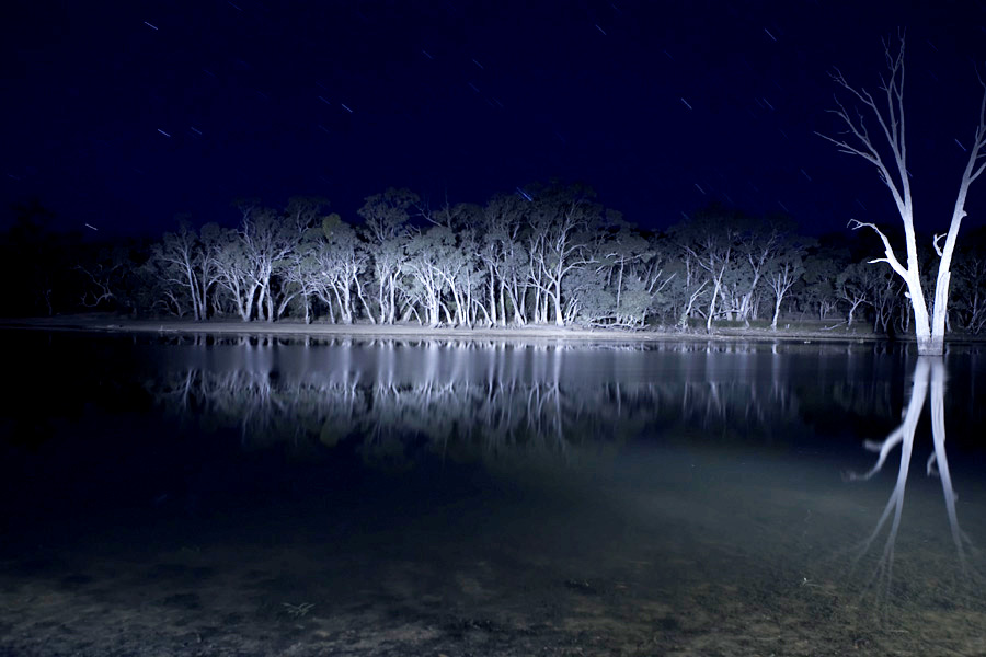 Lake Mungo (2010) Cast, Crew, Synopsis and Movie Info