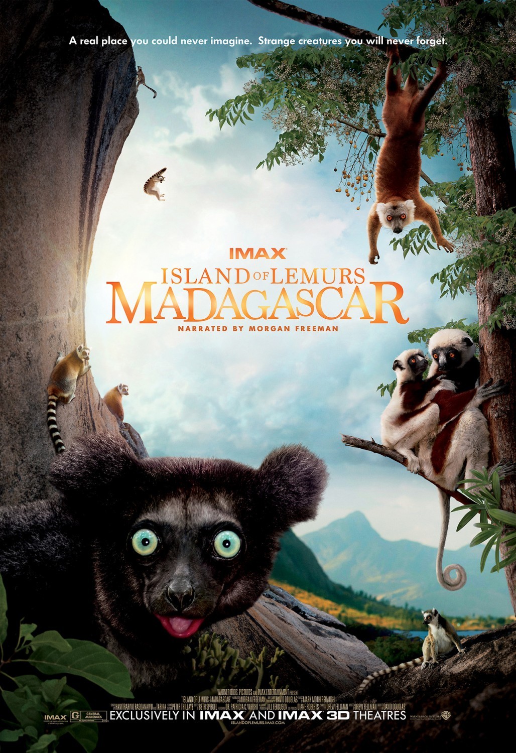 Poster of Warner Bros. Pictures' Island of Lemurs: Madagascar (2014)