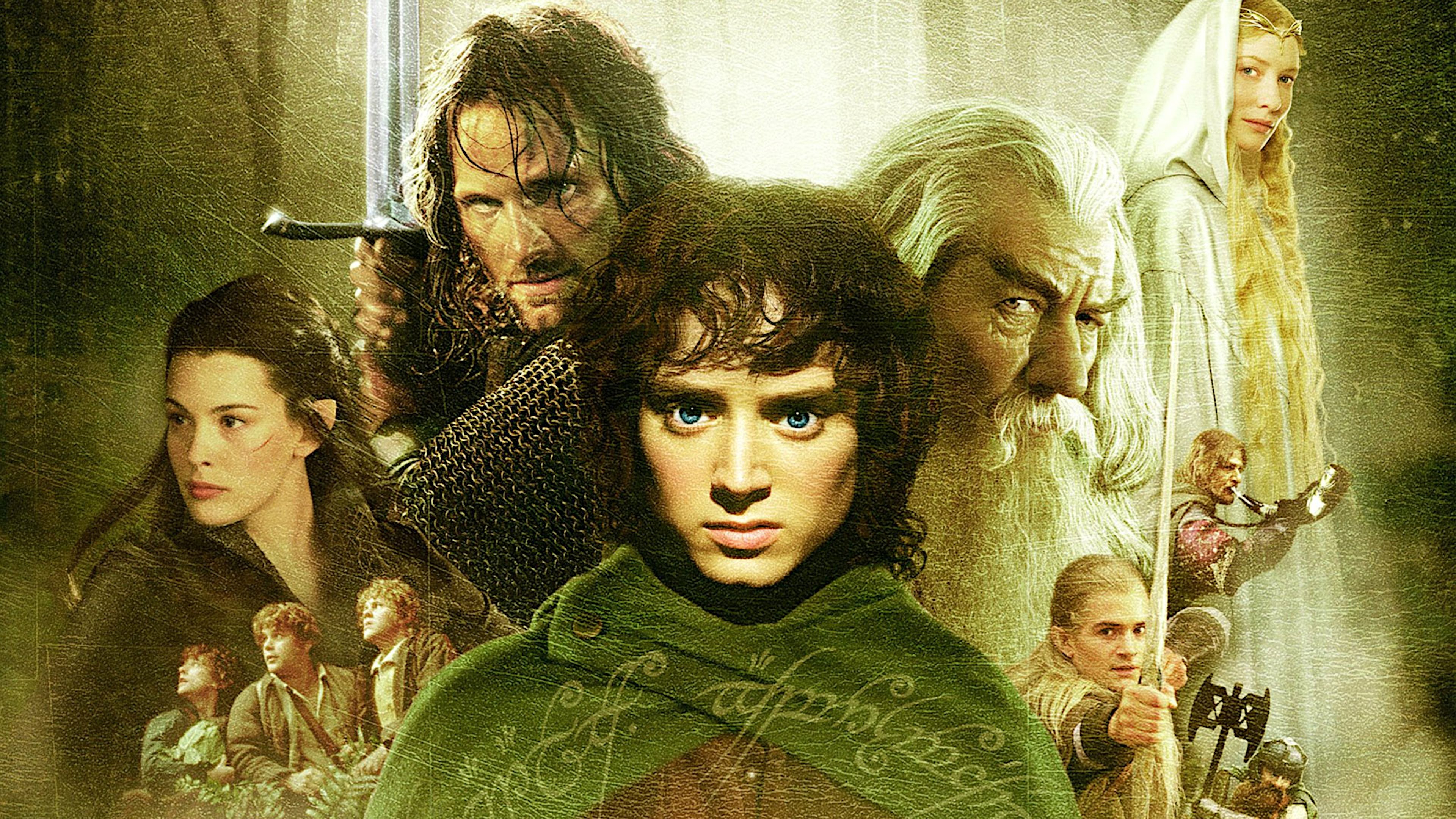 Lord of the Rings: The Fellowship of the Ring, The (2001)