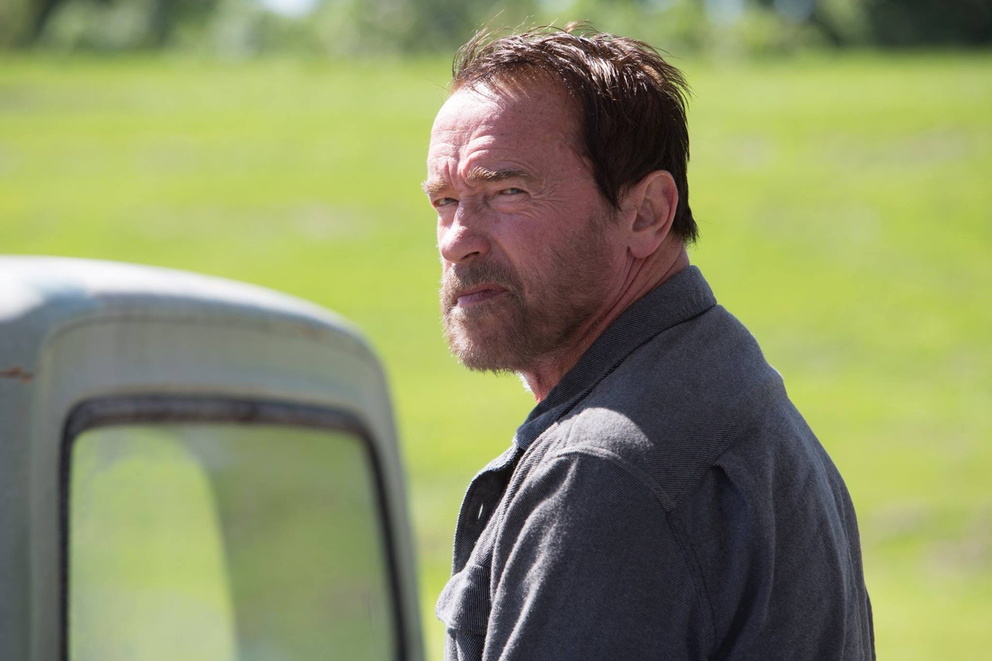 Arnold Schwarzenegger stars as Wade in Lionsgate Films' Maggie (2015)