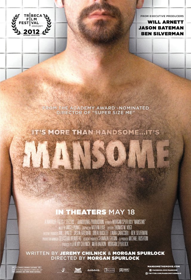 Poster of Paladin's Mansome (2012)