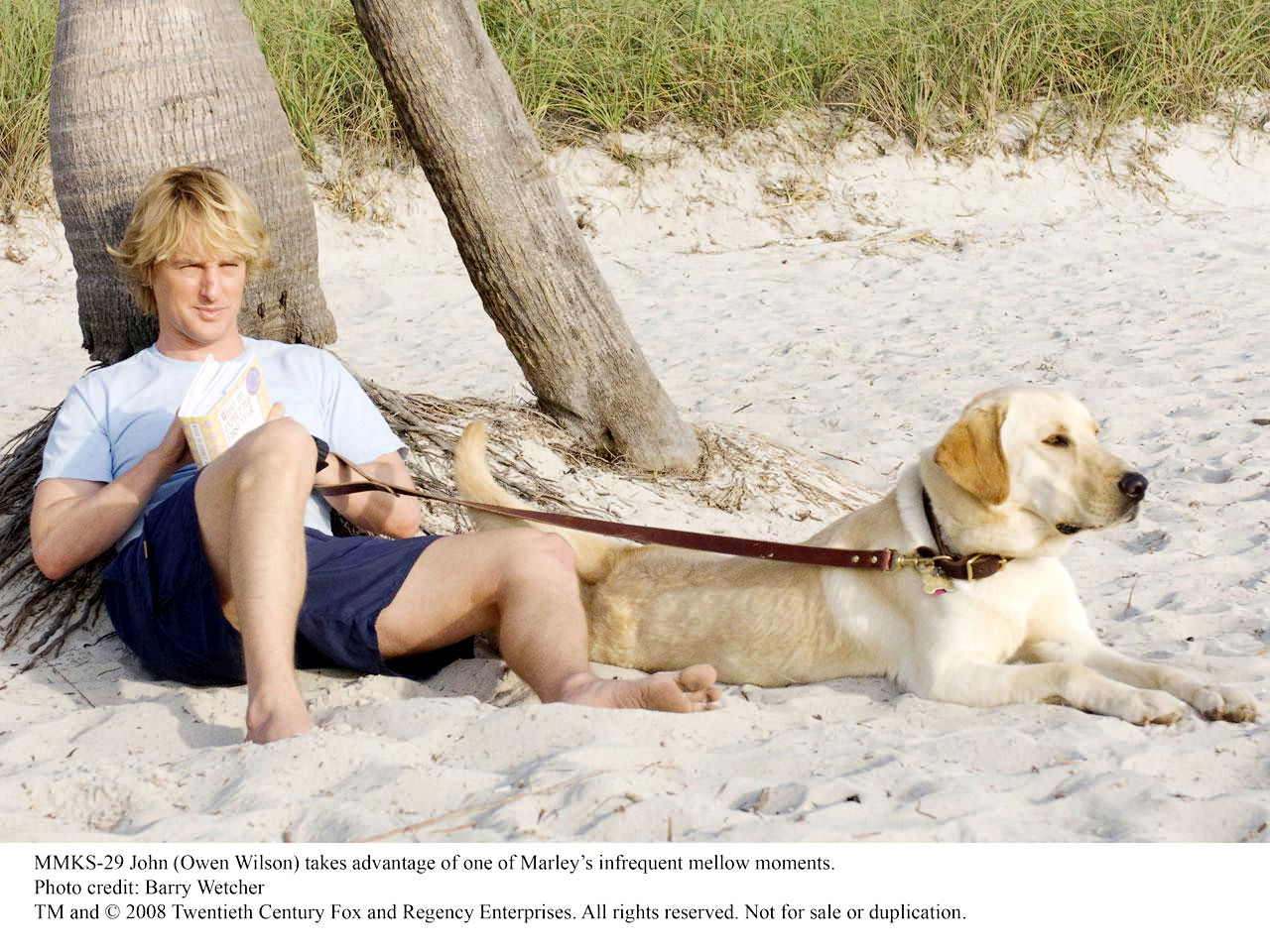 Owen Wilson stars as John Grogan in Fox 2000 Pictures' Marley & Me (2008). Photo credit by Barry Wetcher.