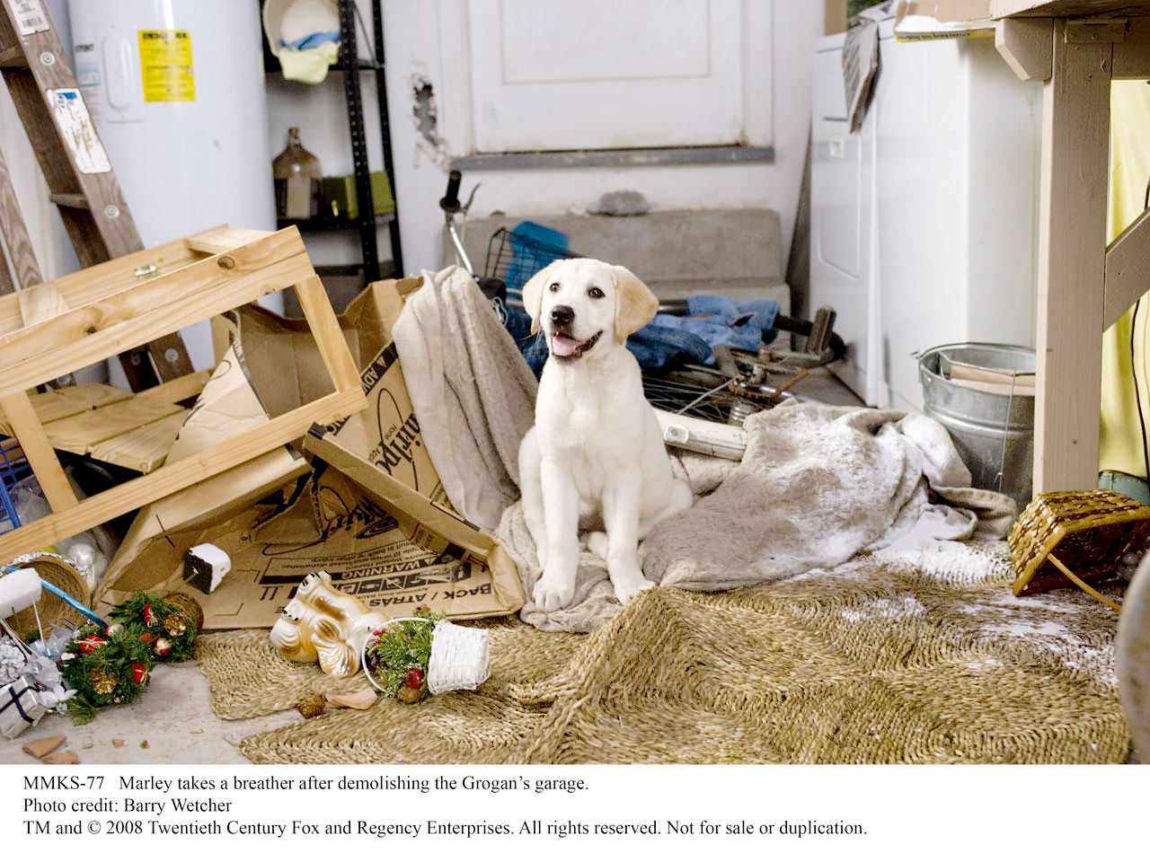 A scene from Fox 2000 Pictures' Marley & Me (2008). Photo credit by Barry Wetcher.