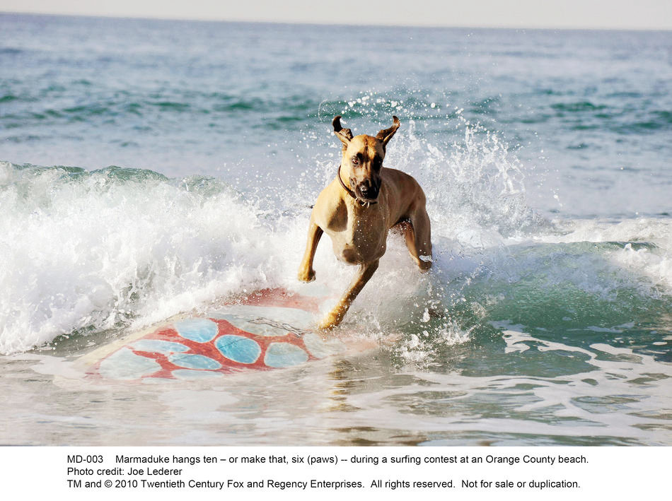 Marmaduke (2010) Cast, Crew, Synopsis and Information