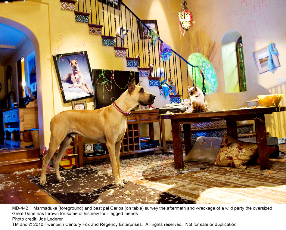 Marmaduke (2010) Pictures, Trailer, Reviews, News, DVD and Soundtrack