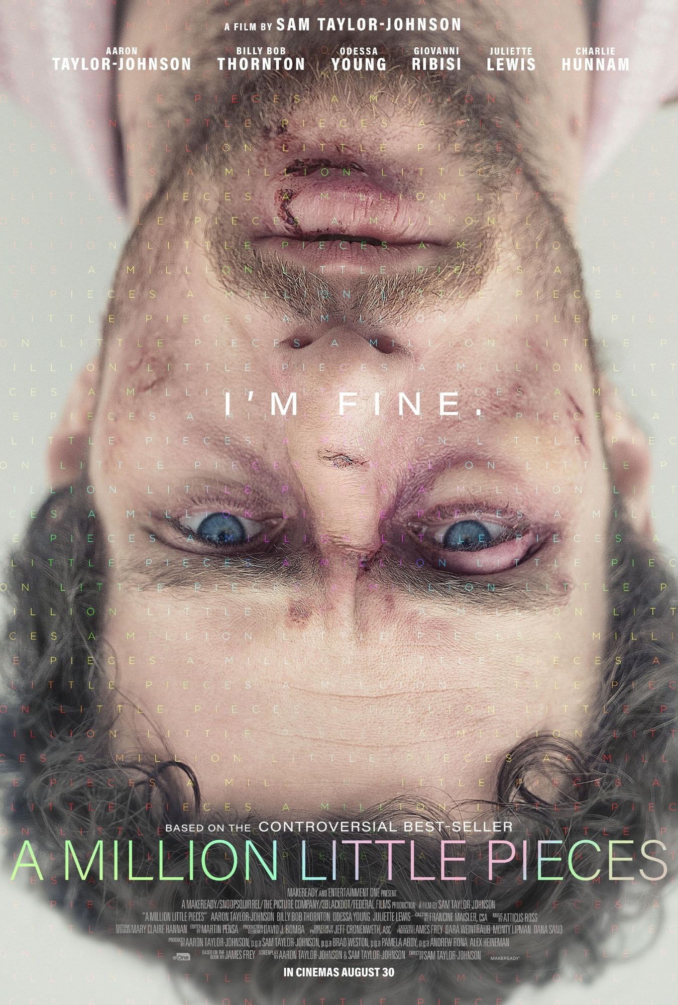 Poster of Momentum Pictures' A Million Little Pieces (2019)