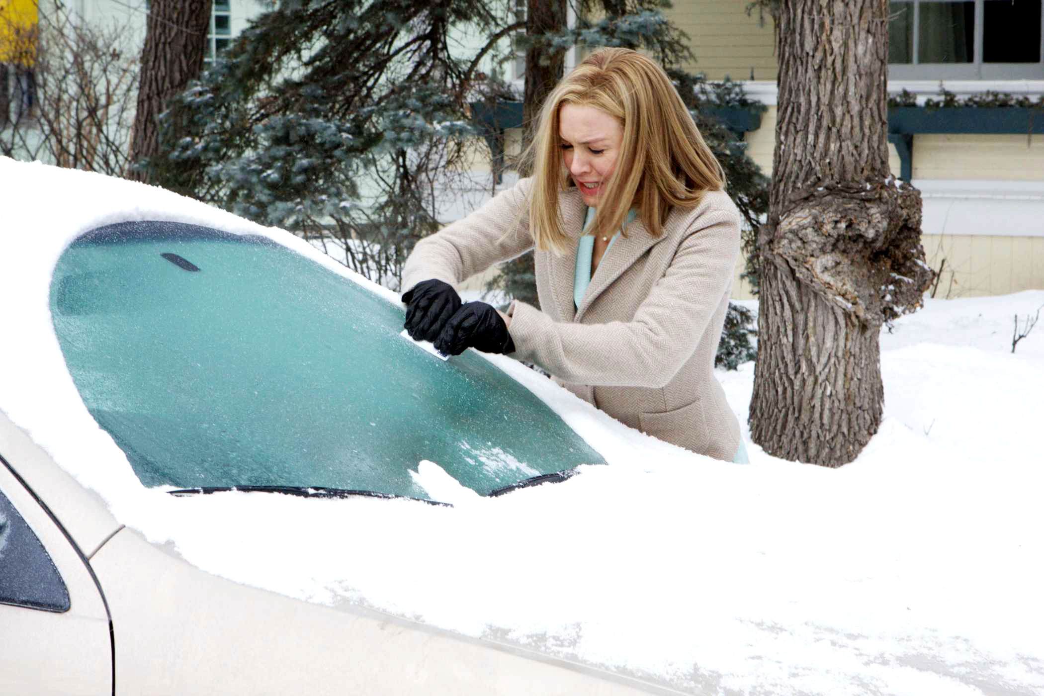 Renee Zellweger stars as Lucy Hill in Lionsgate Films' New in Town (2009). Photo credit by Rebecca Sandulak.