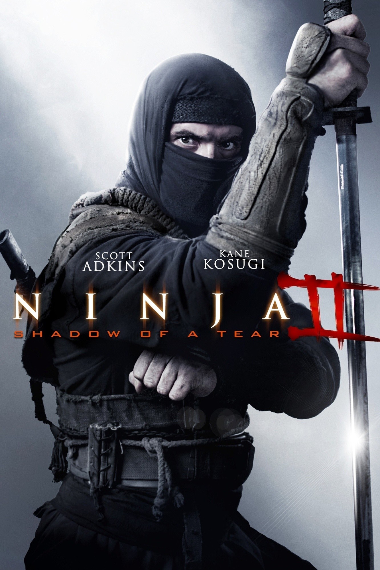 Poster of Millennium Films' Ninja: Shadow of a Tear (2013)