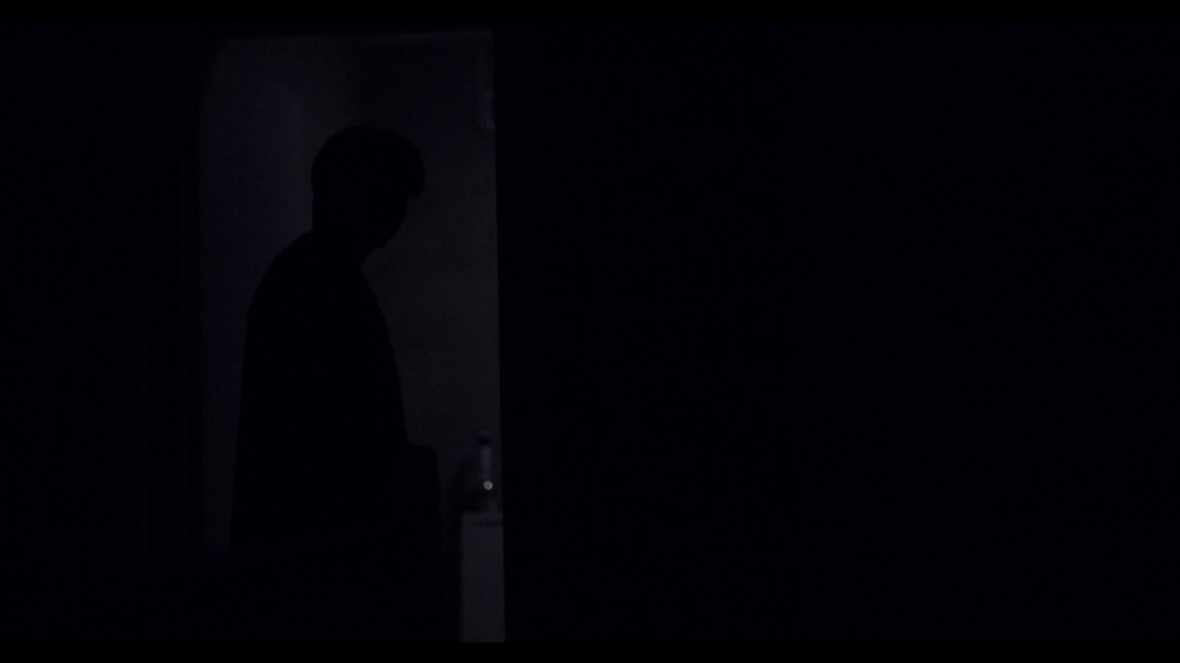 Occupation (2026)