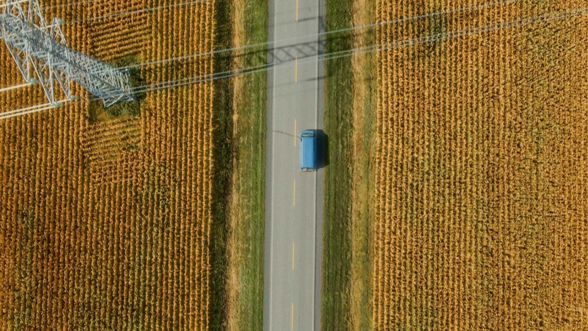 Odyssey on a Loop (2026)