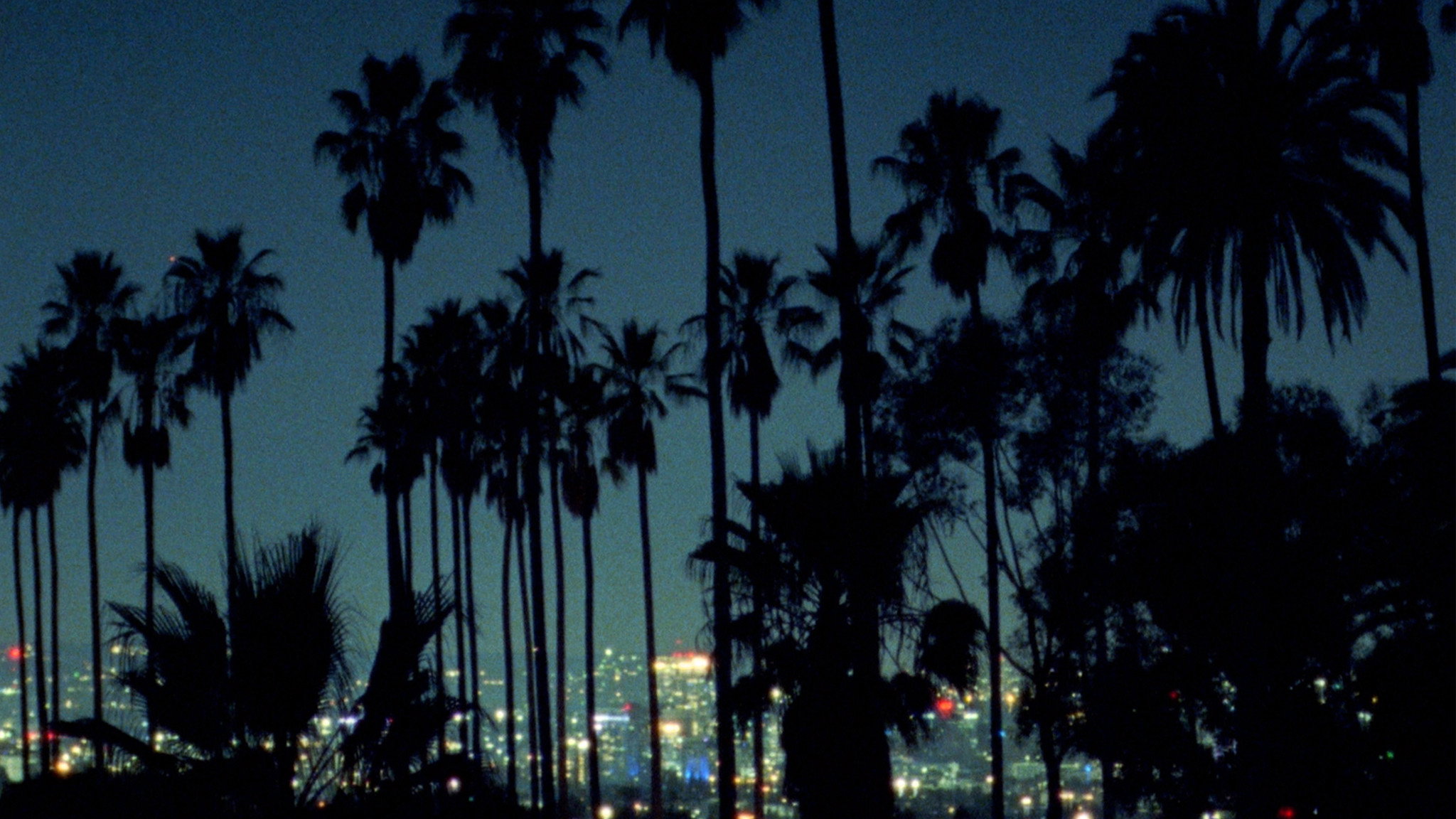 Palm (2026)