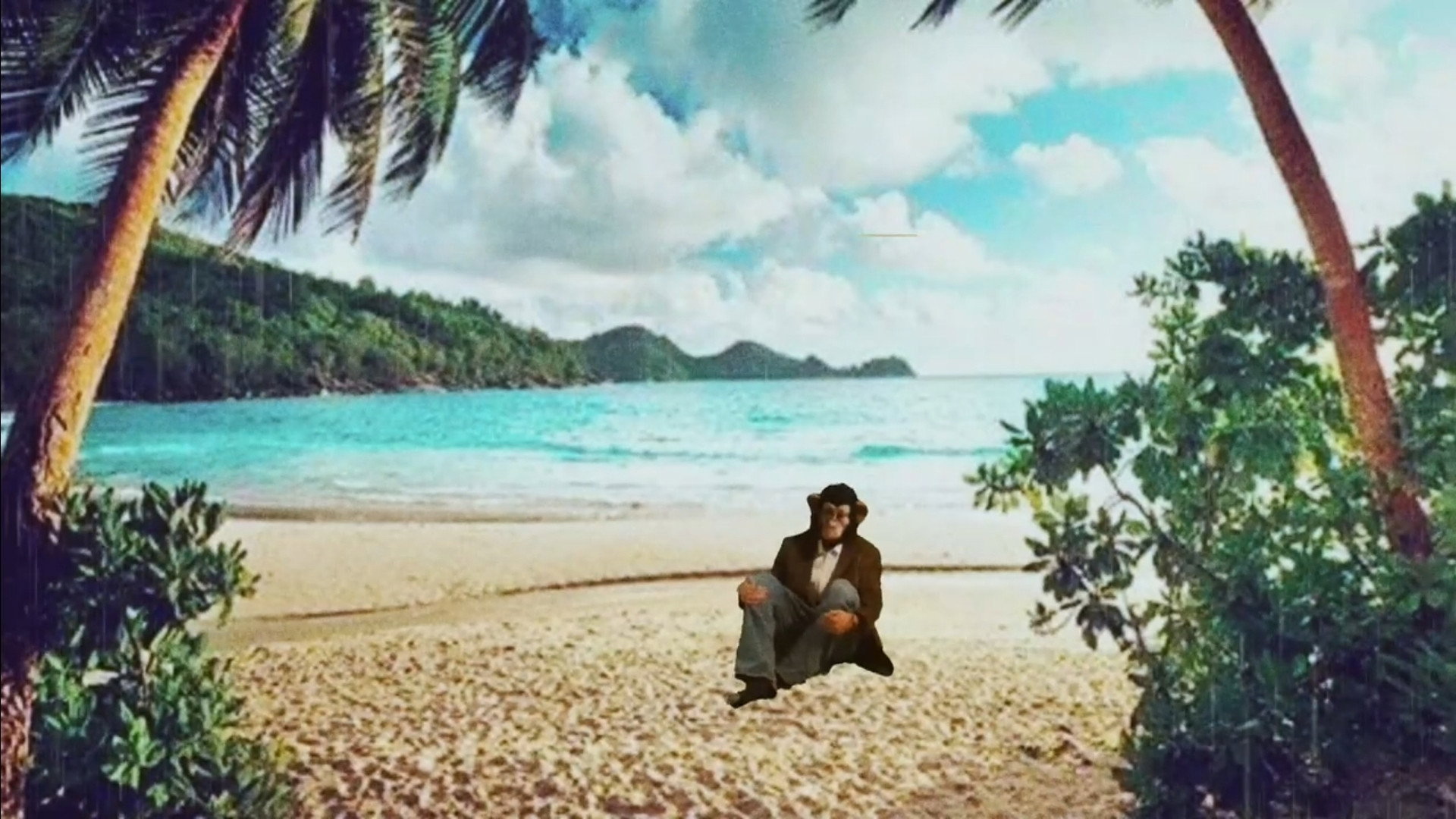 Planet of the Cast Away, Lost Ape (2026)