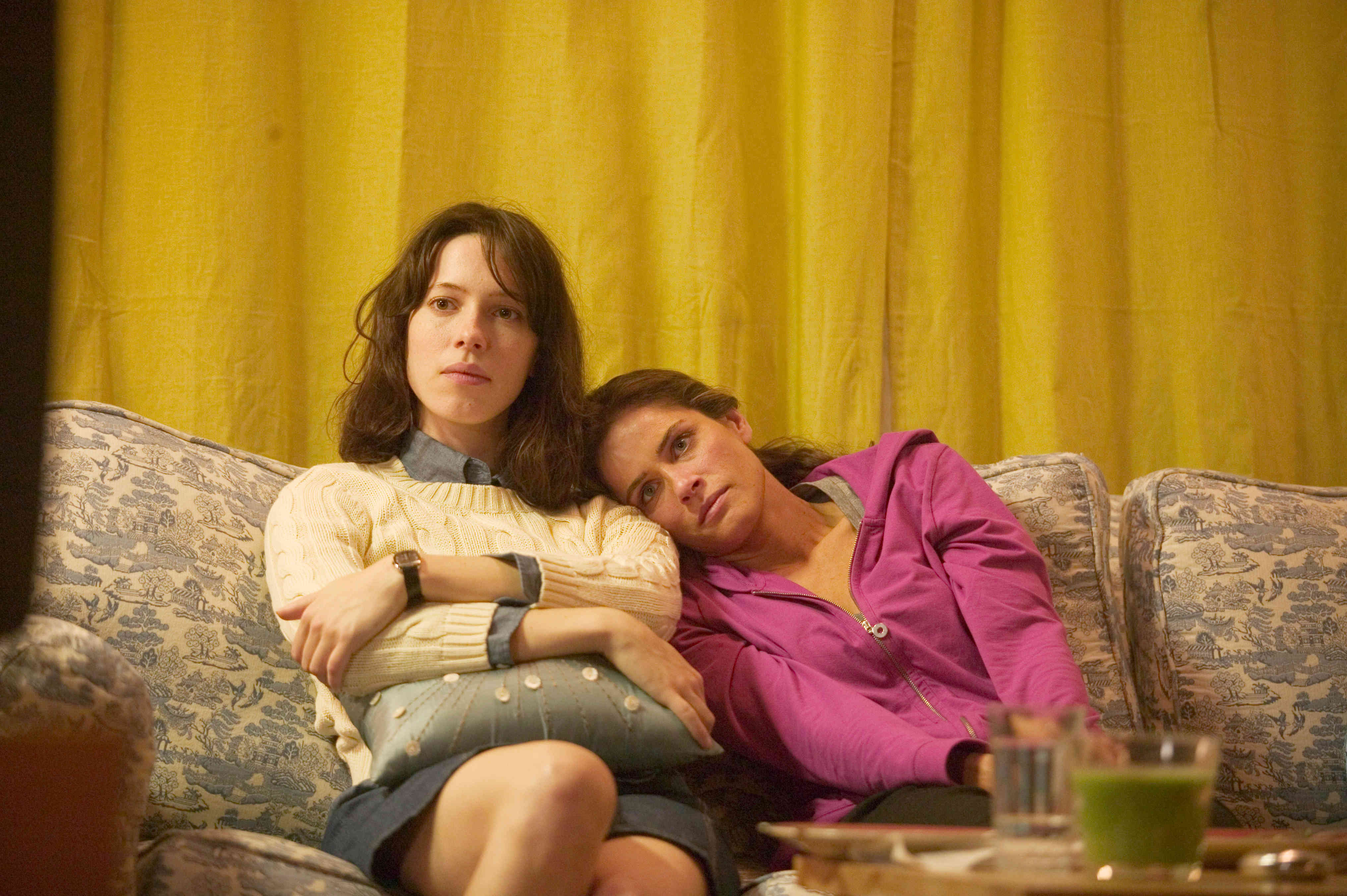 Rebecca Hall stars as Rebecca and Amanda Peet stars as Mary in Sony Pictures Classics' Please Give (2010). Photo credit by Piotr Redlinksi.
