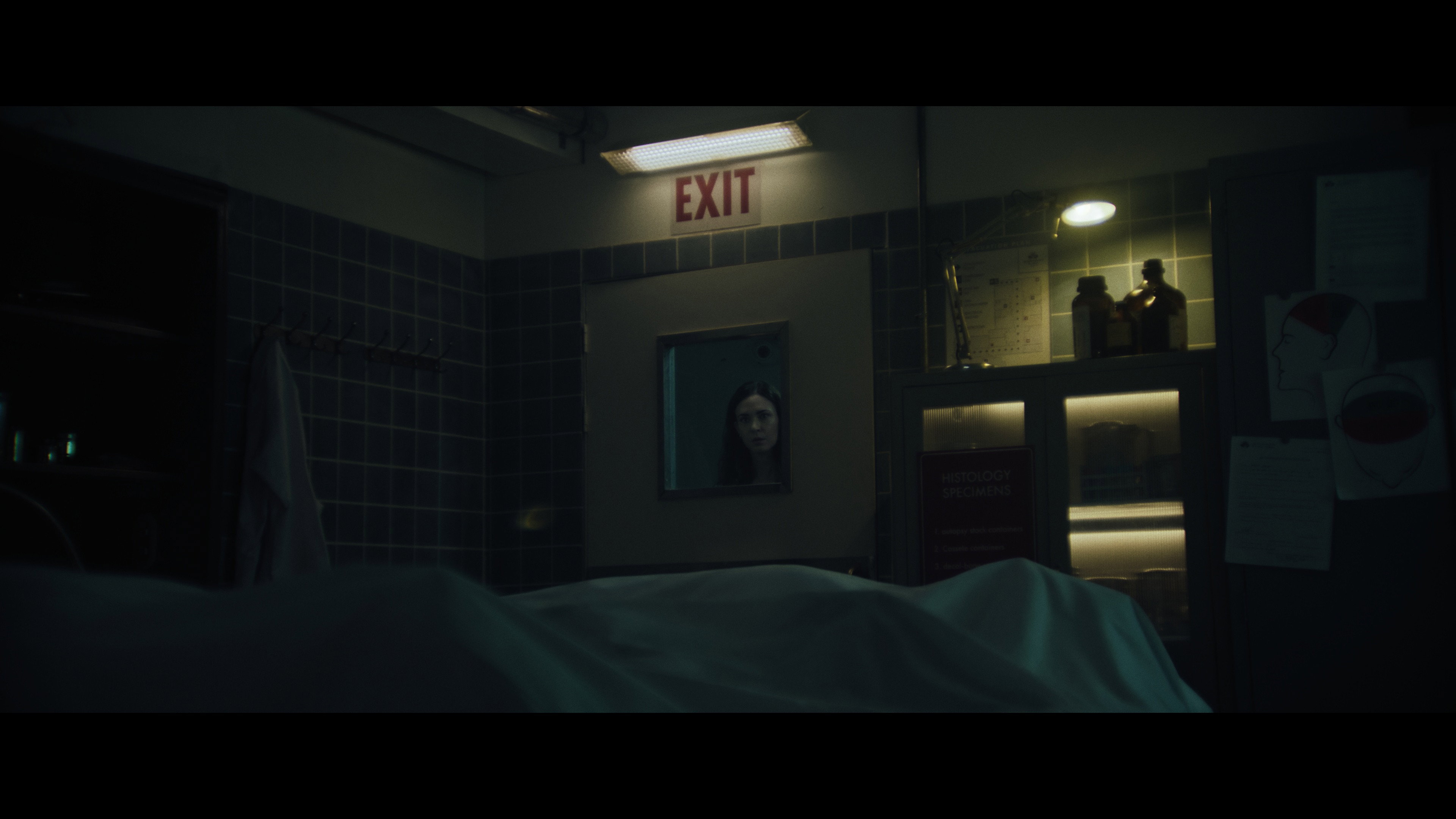 Postmortem (2026)
