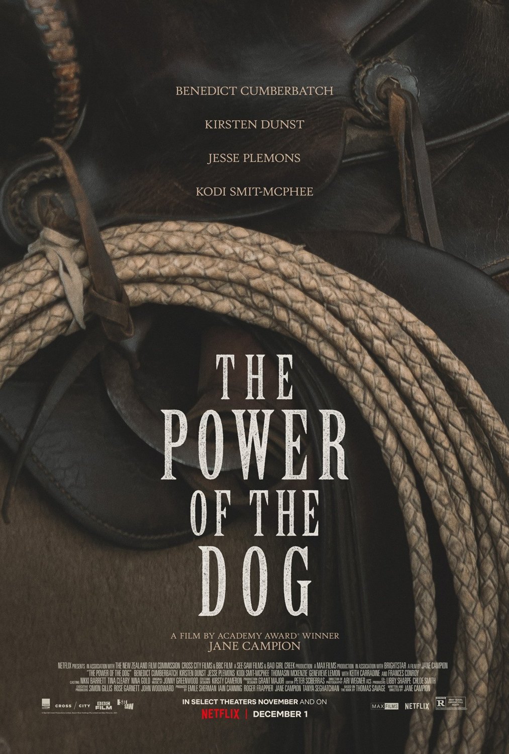 Poster of The Power of the Dog (2021)