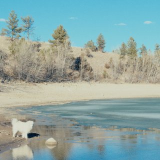 50 Hours To Wyoming Picture 3